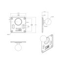 RAM Mount Vesa Platte 75x75mm mit C-Kugel